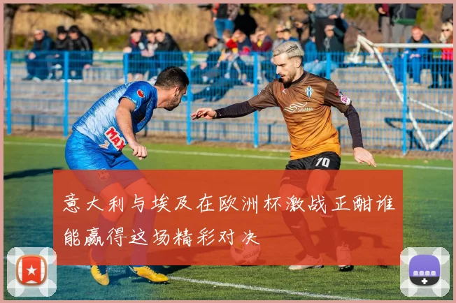 意大利与埃及在欧洲杯激战正酣谁能赢得这场精彩对决